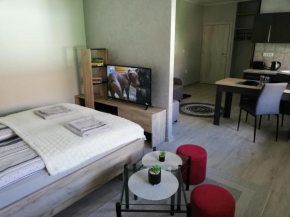 D&D Studio Apartment, Subotica